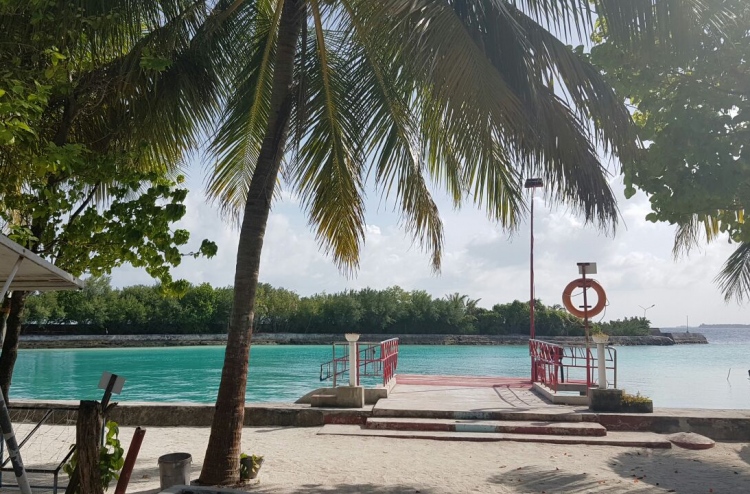 local picnic grounds to be on natural island